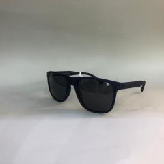 HOLEYGRAM HG H1004 COL05 55-19 Güneş Gözlüğü