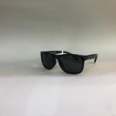 HOLEYGRAM HG H1024 COL01 44-14 Çocuk Güneş Gözlüğü