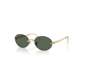 Ray-Ban RB 3929 AŞAP 001/71 54-20 Güneş Gözlüğü