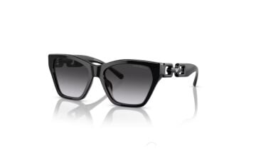 Emporio Armani EA4203U 5017/8G 55-17 Güneş Gözlüğü