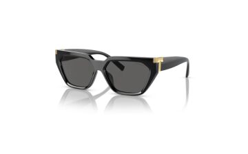 Tiffany & Co. TF 4205-U 8001/S4 56-14 Güneş Gözlüğü