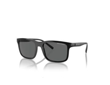 ARMANİ EXCHANGE AX 4145S 815887 57-19 Güneş Gözlüğü